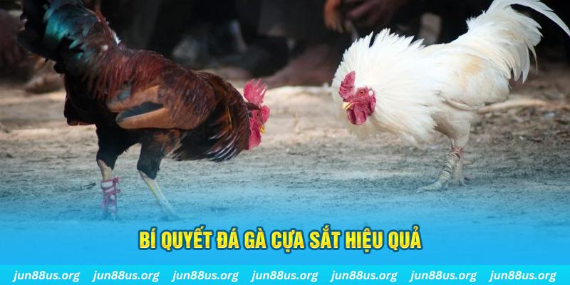 shbet80 nổ hũ may mắn