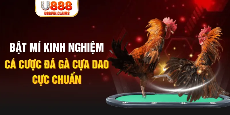 shbet80 casino hồ tràm có cho người việt vào không