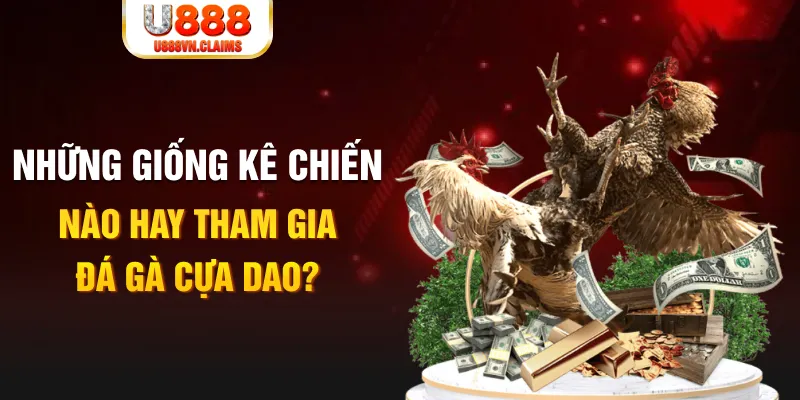 shbet80 BG Trực Tuyến
