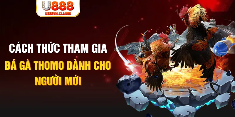 shbet80 truc tiep da ga