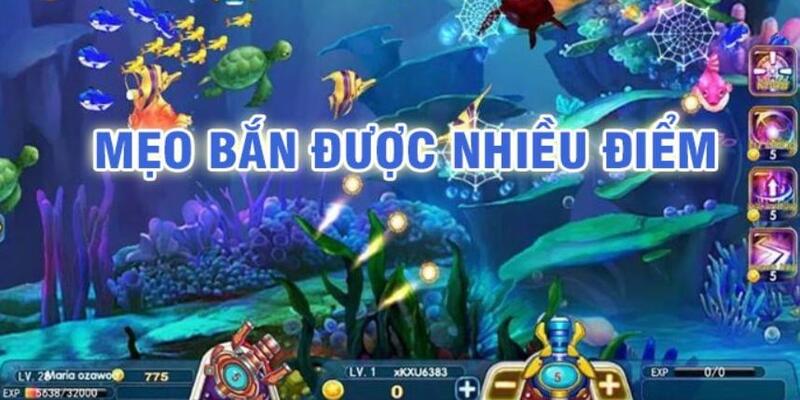 shbet80 baccarat có lừa đảo không