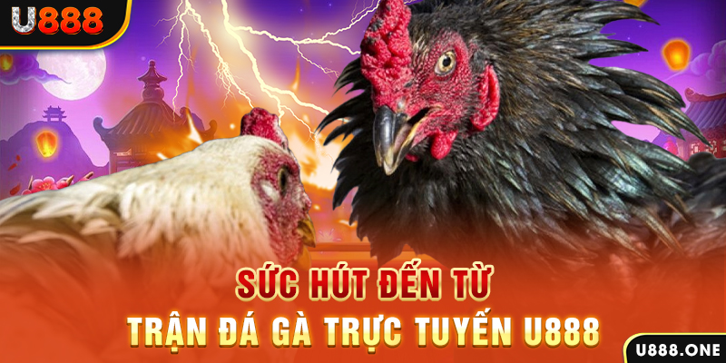 shbet80 đăng nhập poker 2024