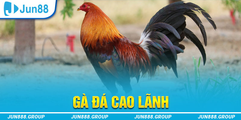 shbet80 tai game vua bai ve may tinh