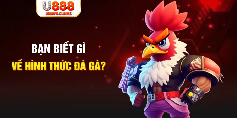 shbet80 đăng nhập liêng tặng tiền