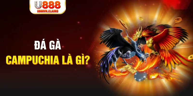 shbet80 what is the best online casino for real money