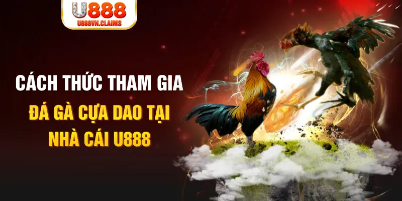 shbet80 đá gà 88.com