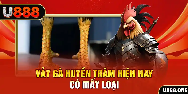 shbet80 đăng nhập nổ hũ miễn phí
