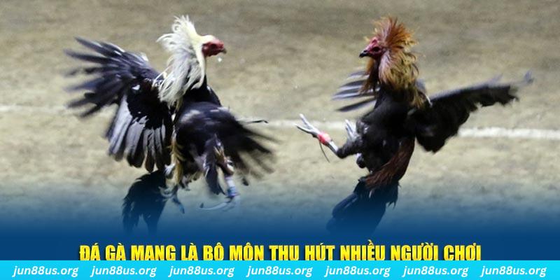 shbet80 đăng nhập sòng bạc số 1