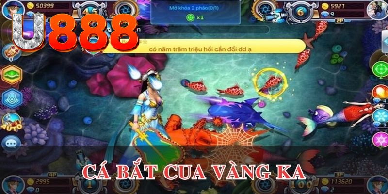 shbet80 xo so mien nam