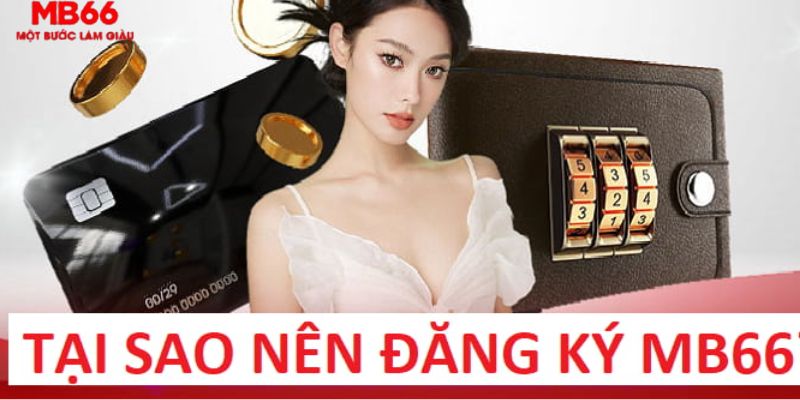 shbet80 trực tiếp gà chọi c1
