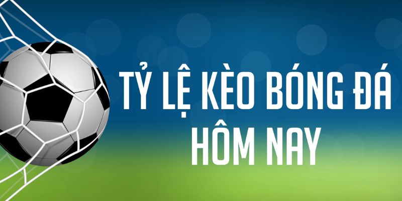 shbet80 đăng nhập phỏm