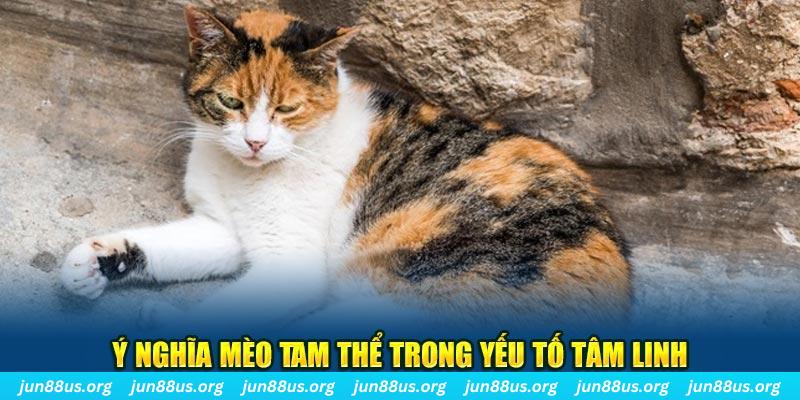 shbet80 máy slot game là loại trò chơi gì？