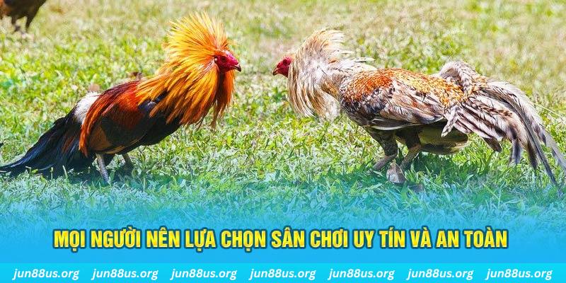 shbet80 đăng nhập poker 2025
