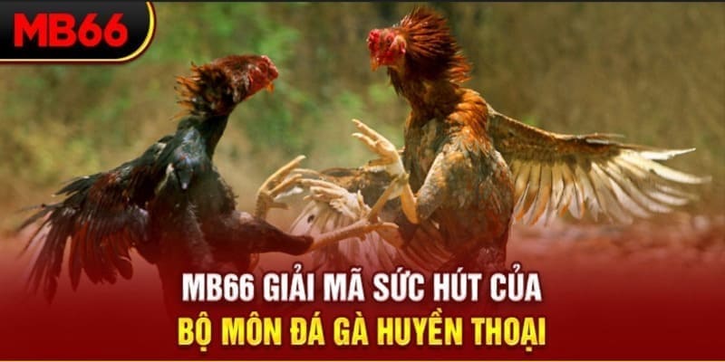 shbet80 xổ số đài bắc