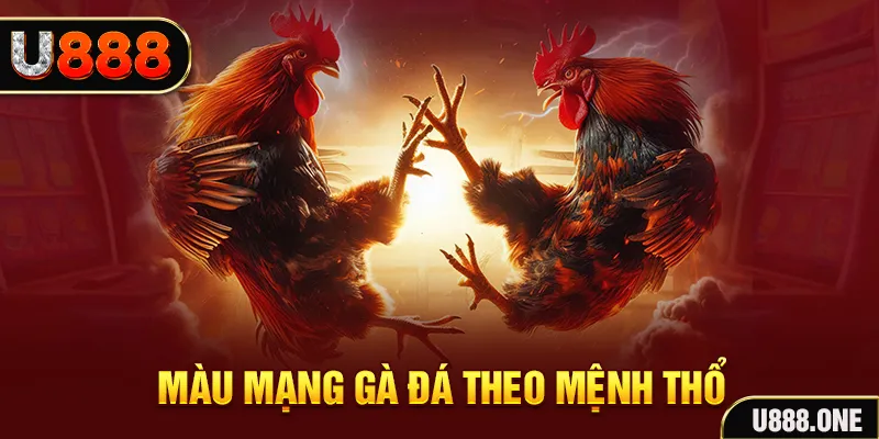 shbet80 đăng nhập liêng hàng đầu