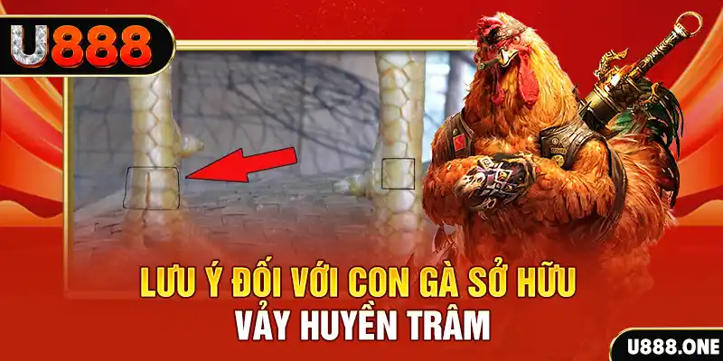 shbet80 tải game đánh bài tiến lên miền nam về máy tính