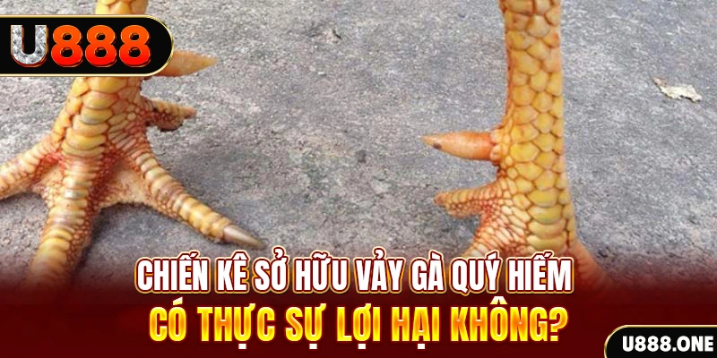 shbet80 xổ số miền trung