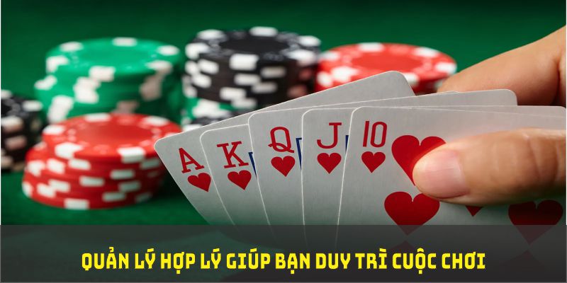 shbet80 đá gà trực tiếp thomo 67