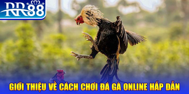 shbet80 bắn cá h5 là gì