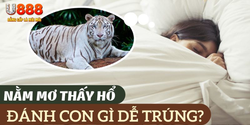shbet80 nohu .mx nổ hủ là gì