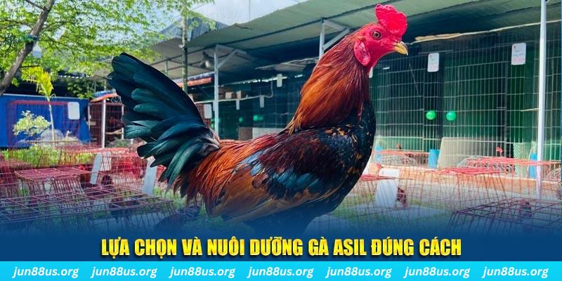 shbet80 nổ hũ thần tài là gì