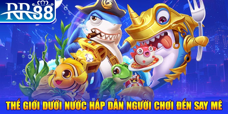 shbet80 đăng nhập mậu binh dễ thắng