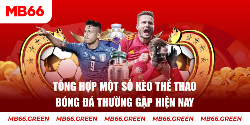 shbet80 TP Xổ Số