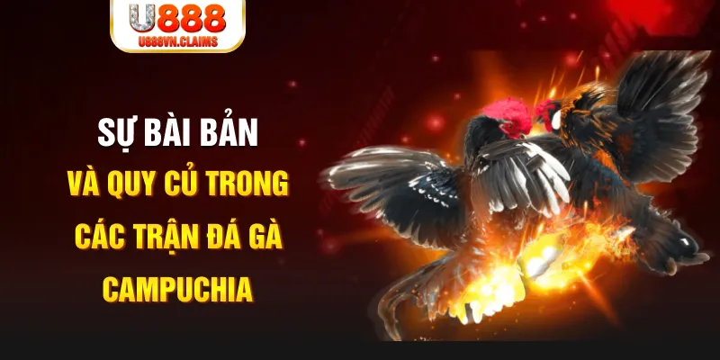 shbet80 game xếp bài trên máy tính