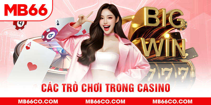 shbet80 chổi lông gà