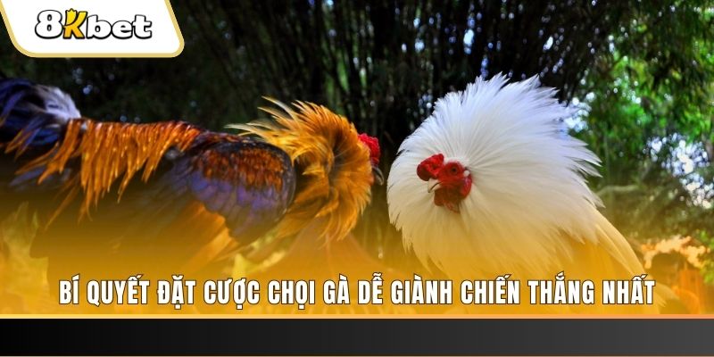 shbet80 nổ hũ chơi như thế nào