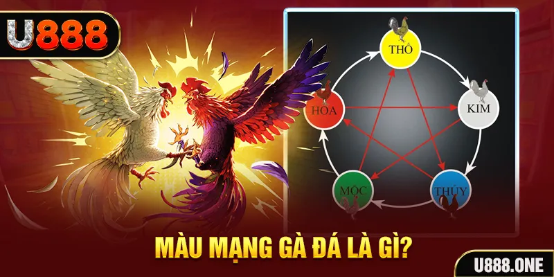 shbet80 V8 Game Bài 3d
