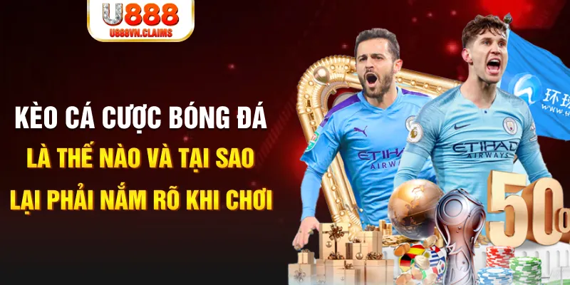 shbet80 gà chọi c1 mới nhất