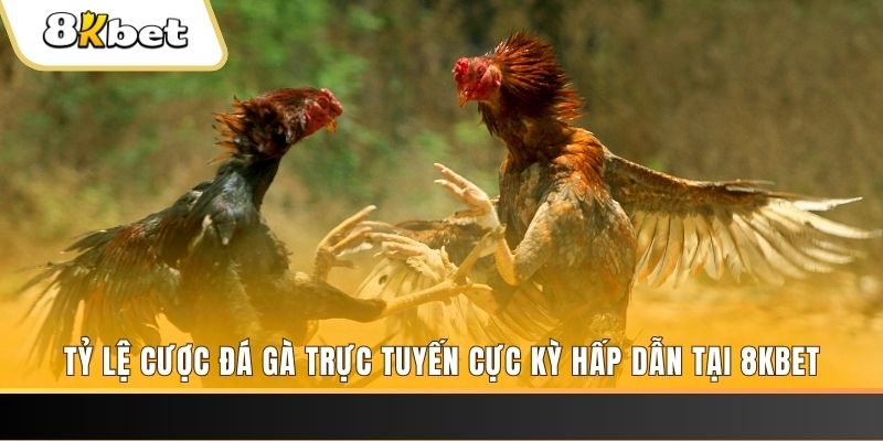 shbet80 xổ số miền bắc chủ nhật