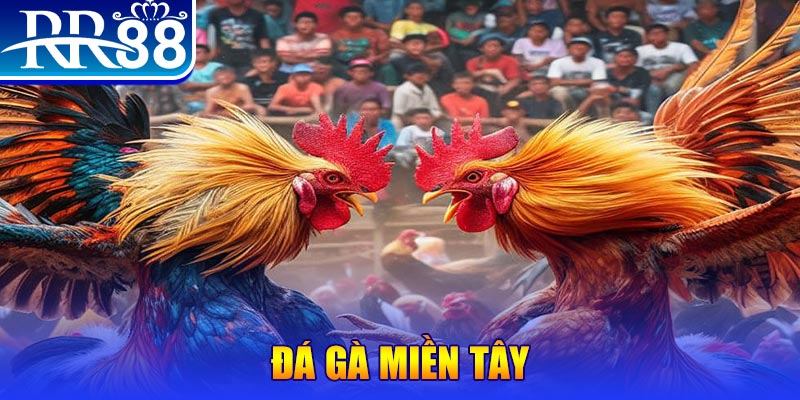 shbet80 đăng nhập liêng đổi thưởng