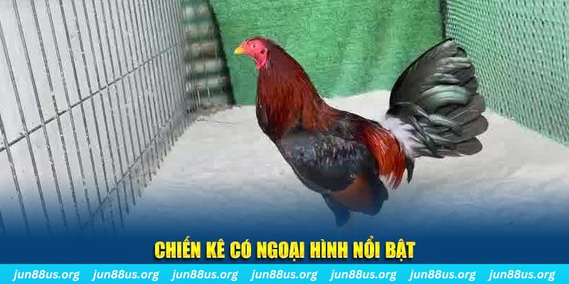 shbet80 qq88 bắn cá