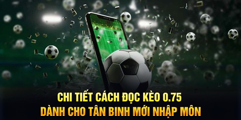 shbet80 Xì tố