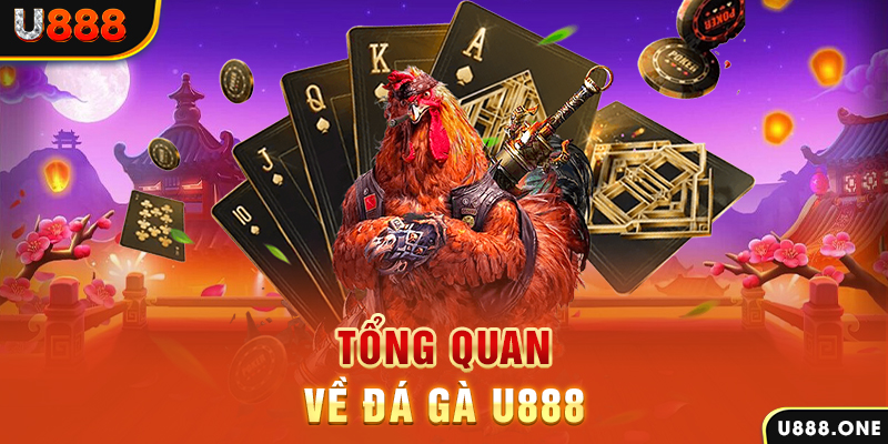 shbet80 xổ số vietlott