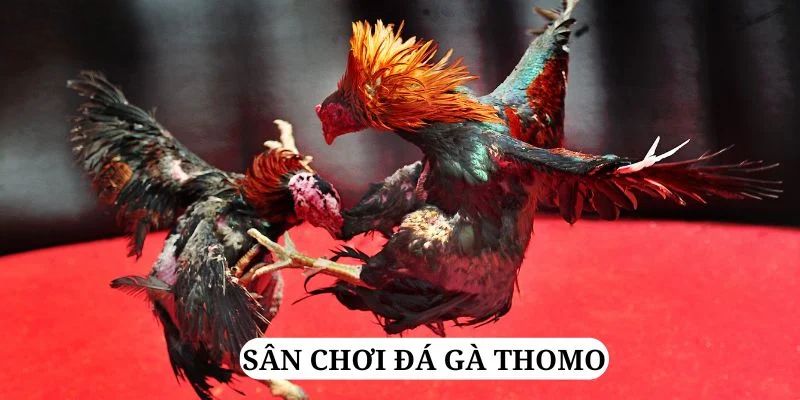 shbet80 quay nổ hũ là gì