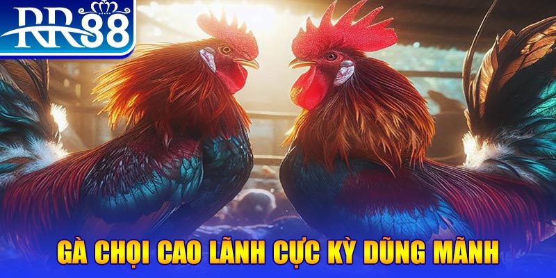 shbet80 đăng nhập poker live
